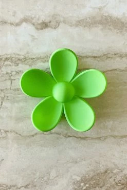 Best reviews of 😍 Dippin' Daisy's Oopsy Daisy Hair Claw Clip - Green Green ✔️